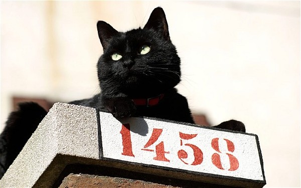 张启发“绿色超级稻”院士工作站正式揭牌